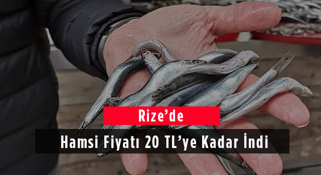 Rize'de Hamsi Fiyatı 20 Tl’ye Kadar İndi