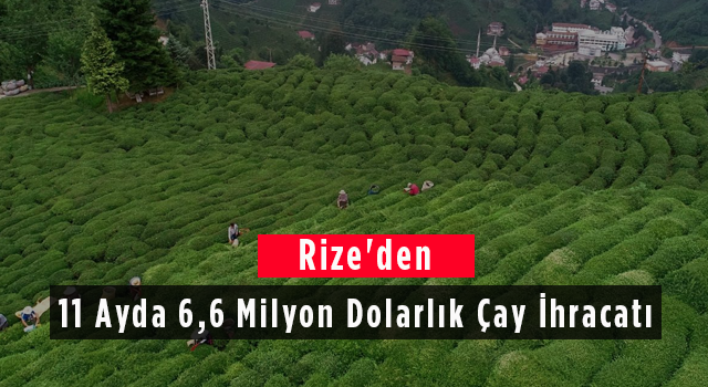 Rize'den 11 Ayda 6,6 Milyon Dolarlık Çay İhracatı