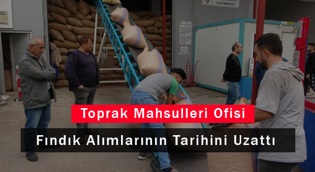 Toprak Mahsulleri Ofisi Fındık Alımlarının Tarihini Uzattı