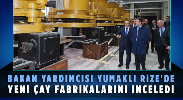 Bakan Yardımcısı Yumaklı Rize'de Yeni Çay Fabrikalarını İnceledi