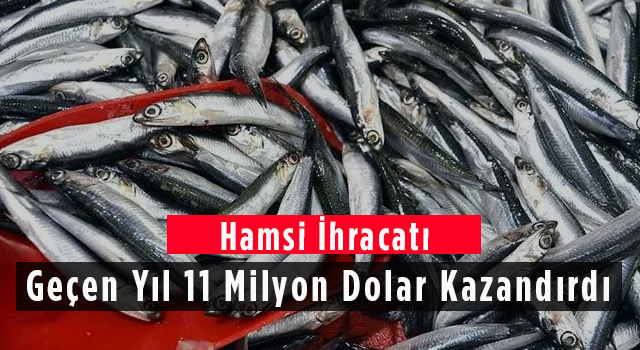 Hamsi İhracatı Geçen Yıl 11,1 Milyon Dolar Kazandırdı