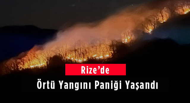 Rize'de Örtü Yangını Paniği Yaşandı