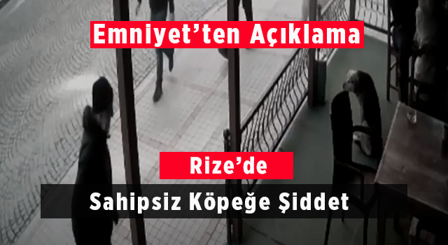 Rize'de Sahipsiz Köpeğe Şiddet: Emniyet'ten Açıklama