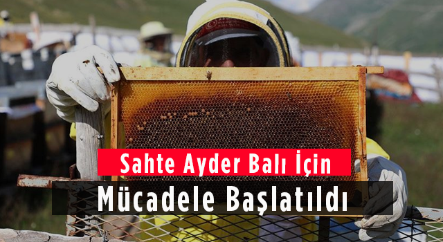 Sahte Ayder Balı İçin Mücadele Başlatıldı