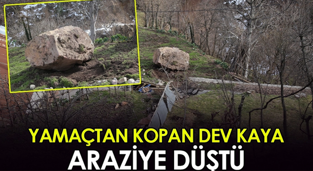 Artvin'de yamaçtan kopan dev kaya tarım arazisine düştü!