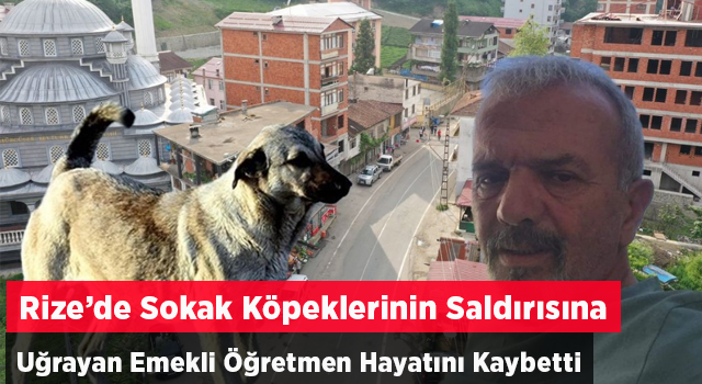 KÖPEKLERİN SALDIRISINA UĞRAYAN EMEKLİ ÖĞRETMEN HAYATINI KAYBETTİ