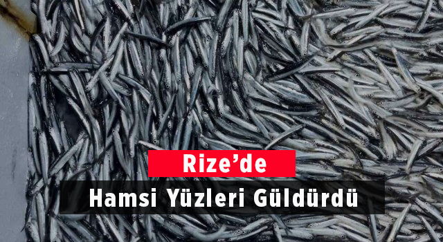 Rize’de Hamsi Yüzleri Güldürdü