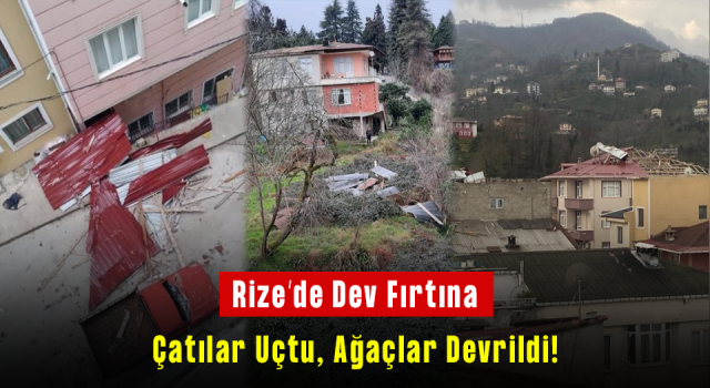 RİZE'DE FIRTINA: ÇATILAR UÇTU, AĞAÇLAR DEVRİLDİ