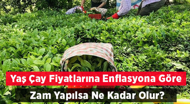 Enflasyon Oranlarına Göre Tahmini Yaş Çay Fiyatı