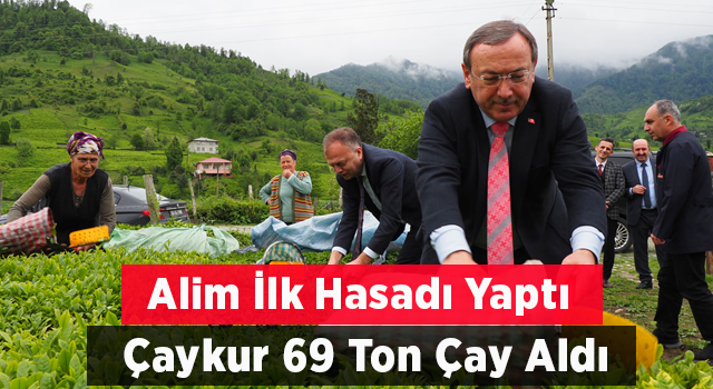 ÇAYKUR Genel Müdürü Alim İlk Çay Hasadını Kemalpaşa'da Yaptı. ÇAYKUR İlk Gün 69 Ton Yaş Çay Aldı