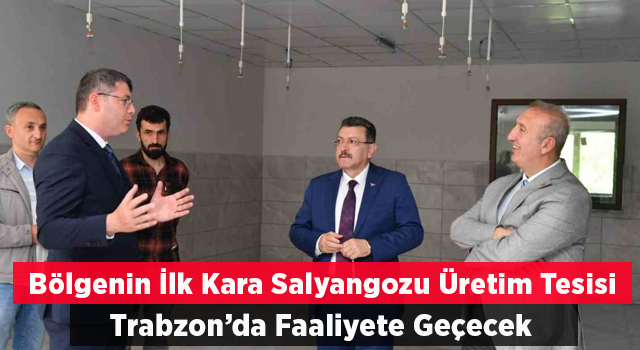Karadeniz Bölgesi’nin İlk Kara Salyangozu Üretim Tesisi Yakında Trabzon’da Faaliyete Geçecek