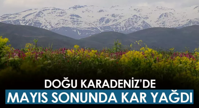 Mayıs ayının sonuna doğru kar yağdı!