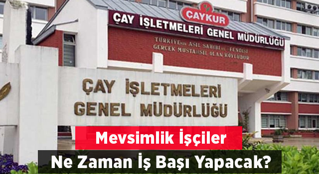 Rize'de Mevsimlik İşçiler Ne Zaman İş Başı Yapacak ?