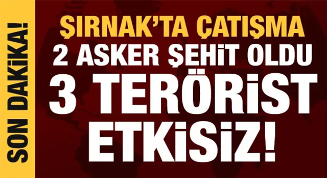 Şırnak'ta operasyon: 2 jandarma şehit oldu, 3 terörist etkisiz hale getirildi