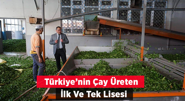 Türkiye'nin çay üreten ilk ve tek meslek lisesi Rize’de!
