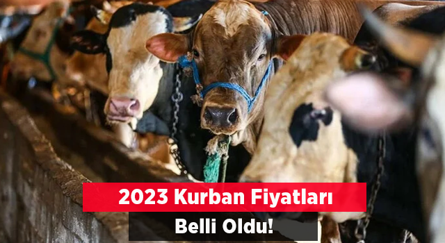 Vatandaşlar merakla bekliyordu! 2023 yılı kurban fiyatları