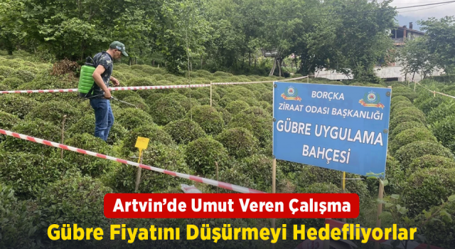 Çayda gübre maliyetini düşürmeyi hedefliyorlar