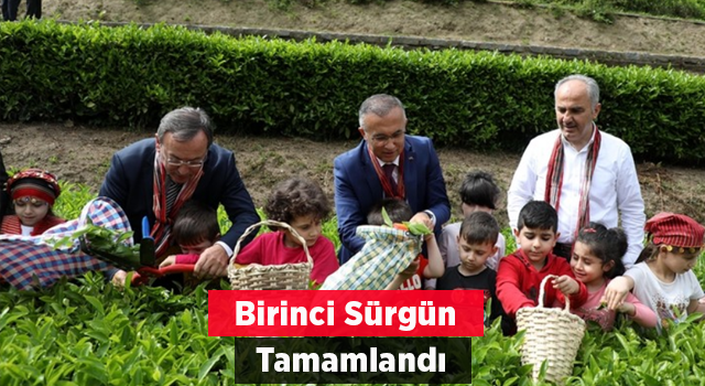 Çaykur Birinci Sürgünü Tamamladı