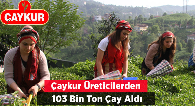 ÇAYKUR, Üreticilerden 103 Bin Ton Yaş Çay Aldı