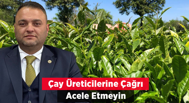 Rize’de Hava Şartlarının Olumsuz Etkilediği Çay Hasadında Ziraat Odası’ndan Üreticilere "acele Etmeyin" Uyarısı