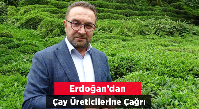 Çay Üreticilerine ‘beyaz Çay’ İçin "çay Tomurcuğu Toplayın" Çağrısı