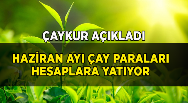 ÇAYKUR Haziran Ayı Çay Paralarını Ödüyor