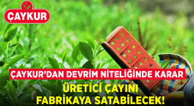 ÇAYKUR’dan Devrim Gibi Karar: Üreticiler Fabrikalara da Yaş Çay Satabilecek