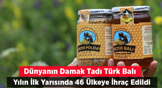 Türk balı yılın ilk yarısında 46 ülkeye ihraç edildi