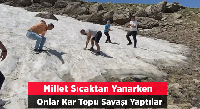 Yaz ayında kar topu oynadılar