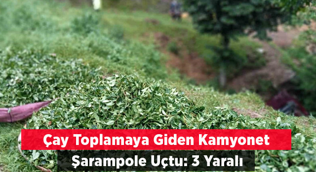 Çay toplamaya gidenleri taşıyan kamyonet şarampole uçtu: 3 yaralı