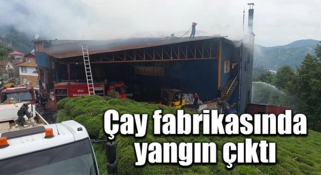 Rize’de çay fabrikasında yangın çıktı