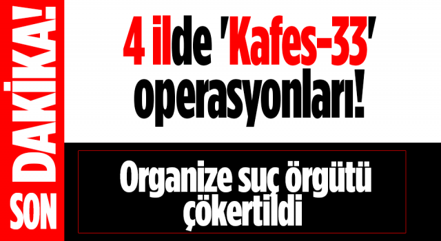 4 ilde Kafes-33 Operasyonları: Organize suç örgütü çökertildi