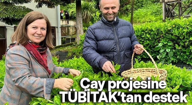 Çay projesine TÜBİTAK’tan destek