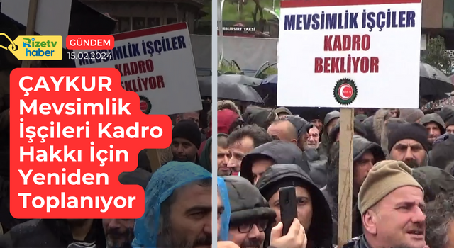 ÇAYKUR Mevsimlik İşçileri Kadro Hakkı İçin Yeniden Toplanıyor