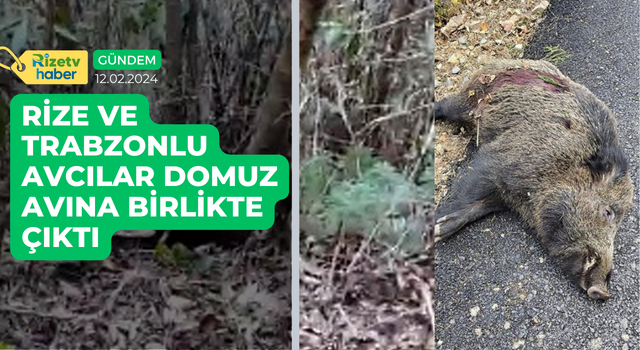 Rize ve Trabzonlu avcılar domuz avına birlikte çıktı
