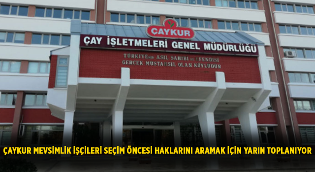 ÇAYKUR Mevsimlik İşçileri Seçim Öncesi Haklarını Aramak İçin Bugün Toplanıyor