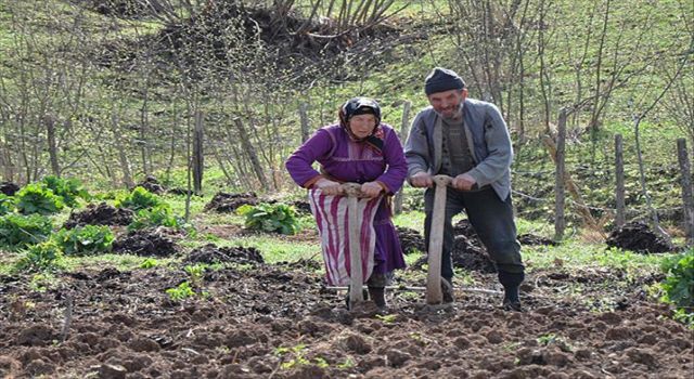 TZOB Başkanı Şemsi Bayraktar: Kırsal nüfusun oranı yüzde 23’e geriledi