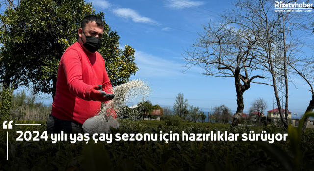 2024 yılı yaş çay sezonu için hazırlıklar sürüyor