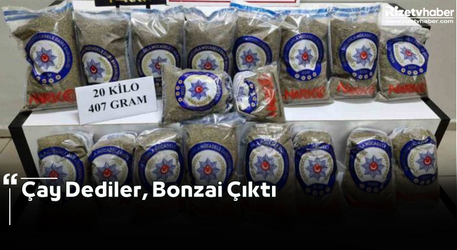 Çay Dediler, Bonzai Çıktı