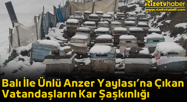 Balı İle Ünlü Anzer Yaylası’na Çıkan Vatandaşların Kar Şaşkınlığı