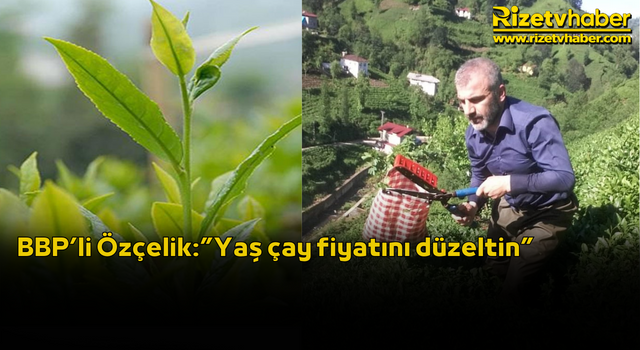 BBP’li Özçelik:”Yaş çay fiyatını düzeltin”