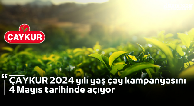 ÇAYKUR 2024 yılı yaş çay kampanyasını 4 Mayıs tarihinde açıyor