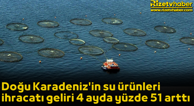 Doğu Karadeniz'in su ürünleri ihracatı geliri 4 ayda yüzde 51 arttı