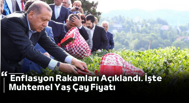 Enflasyon Rakamları Açıklandı. İşte Muhtemel Yaş Çay Fiyatı