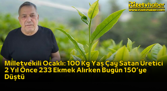 Milletvekili Ocaklı: 100 Kg Yaş Çay Satan Üretici 2 Yıl Önce 233 Ekmek Alırken Bugün 150’ye Düştü