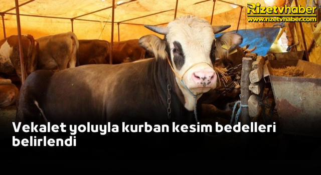 Vekalet yoluyla kurban kesim bedelleri belirlendi