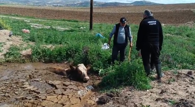 Çamura batan ineği itfaiye kurtardı