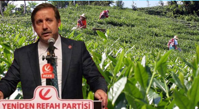 Çolak’tan Çay Fiyatına Sert Tepki: Çaya Yine Sadaka Gibi Fiyat