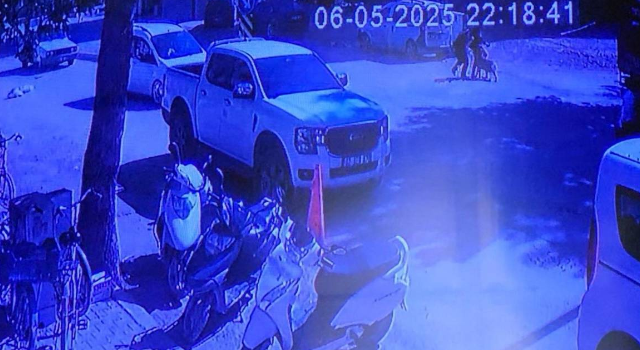 Evden Kaçan Köpek Sokakta Yürüyen Kızlara Saldırdı
