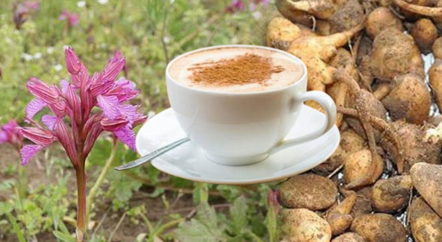Rize’de Salep Yetiştiriciliği İçin İlk Adım Atıldı